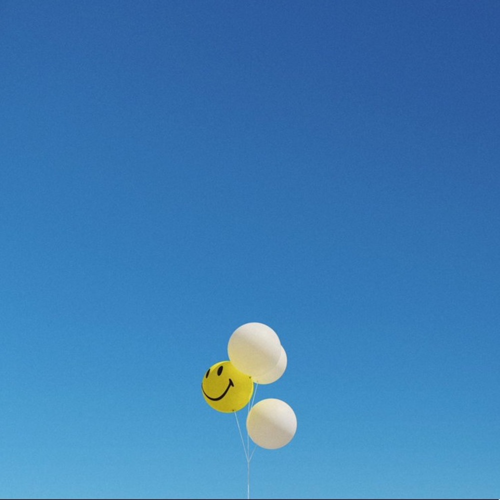 Meet your Posher, Dylan